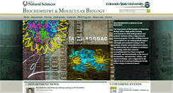 Desktop Screenshot of bmb.colostate.edu