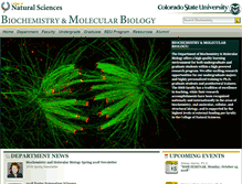 Tablet Screenshot of bmb.colostate.edu